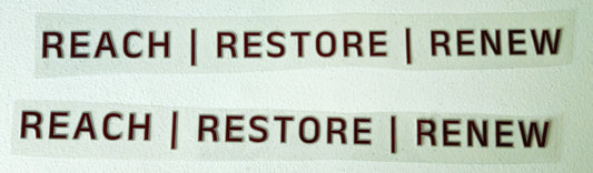 Custom Window Car Decals
